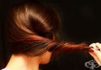 ��������� �� ����� �� �������� � �������� �� �������������� �� ���������� ����