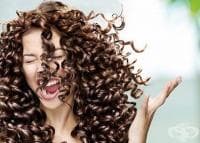 ��������� �� ����� �� ������ ������� � ����������, ���� � ������