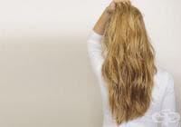 ��������� �� ����� �� ������������ �� ������ �� ���, ����, ������ � ������