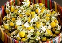 ��������� �� ��������� ����� �� ���� �� �����