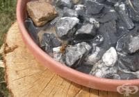 ��������� �� ������ �� ����� �� ���� � ��������