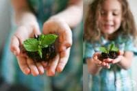 ��������� �� ������ �� �������� � ������� �� ����������� ���������