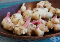 ��������� �� ����������� ���� �� ����� �� ����������