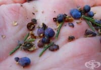 ��������� �� ����������� ���� �� ����� �� ������ � ����������