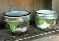 ��������� �� �������� ������ ���� �� ����� � �������