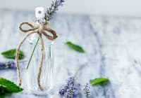 ��������� �� �������� ����� �������� �� ��������� � ���������