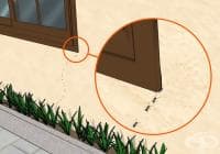 ��������� �� �������� ����� ������ �� �����, ���� � �������� �����