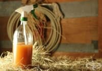 ��������� �� �������� ����� ���� �� ��������, ������� � �����