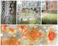 ��������� �� ������ �� ����������� ��������� �� ������ �� ���� �� ���� � ������