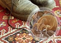 ��������� �� ����� �� ����� � �������� ����� ������ �����