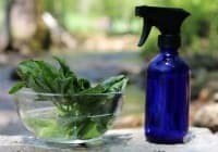 ��������� �� ����� ������ ������ �� ����� � �������