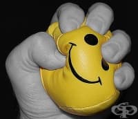 ��������� �� ���� �� ���������� �������� �� ����������