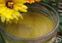 ��������� �� ����������� ������ �� ������ ����� � �����