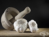 ��������� �� ������� ����� �� ��������� �� �������� �������