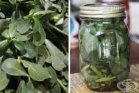 ��������� ��������� � ������ ��������