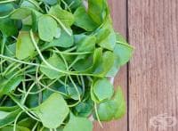 ��������� ���������� �� ������� ������� � ���� �� ������