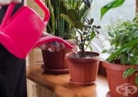 ��������� ������� �� ������� � ������� �� ��� � �����