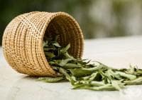 ��������� ������� �� ������ � ������ ����� � ����� �� ����