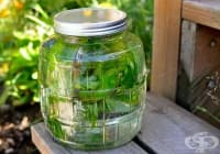 ��������� ���� � ��� �� ��������