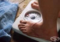 ������� 4 ������������ ������� �� ��������� �� �����