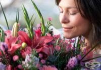 ������� 7 ����� �� ��������� �� ������� ������