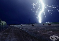 ������� ����� ����� �� ������ � ���� 4 ����� /2 ����/