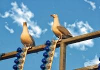 ������� ����� ����� �� ������ � ���� 4 ����� /3 ����/