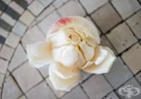 ��������������� ��������� �� ����� ���� 3 ������