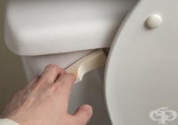 ������ �� ����������� ���� 6 ���� � �������������