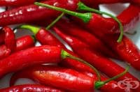 ������ �� ����� ����, ���� ���� ��� ��� ����