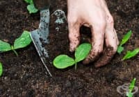 ������ �� ������ ���� �������� ���� �� �����