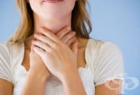 ������������ ������� ��� ������ ���� ��������� ����������� �����