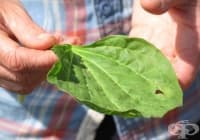 ��������� ��������� � ��� �� ��������