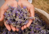 ��������� ������� � �������� ����� �� ���������