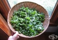 ��������� ������� � ������� � ������ �� �������� �����