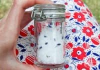 ��������� ������� � ����� � �������� �� ��������� � ���������� ���