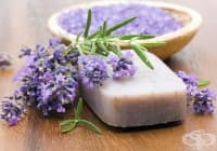 ��������� ��������� � ���������� ����� �� ���������