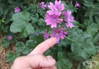 ��������� ��������� � ���� �� ���� �� ���� 