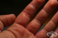 ��������� ����������� �� ������ � ���, ����, ������ ��� ����������