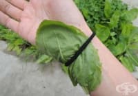 ��������� ������� ��������� � ����� �� ��������