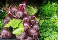 ��������� ����������� ���� � ������� �� ������ � ��������