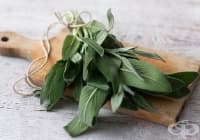 ��������� ��������� � ������ �� ����� � ��������� ���