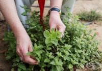 ��������� �������� ����� � ����� �� ����� � ��������