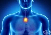 ��������� ������ � ������������ � ������� �� ����������� �������������