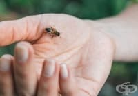 ��������� ���������� �� �������� ���� 5 ����� ������