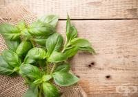 ��������� ������ �������� � �������