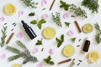 ��� �� ���-����������� �������� ����� �� ����