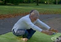 ���������� �������������� ��������� � ����� ���� � 3 ������