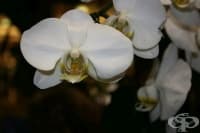 �� �� �������� ��������� �� �� �����, ����������� ������� ������� � 