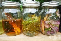 Осигурете си младост, красота и здраве с един лек от три съставки